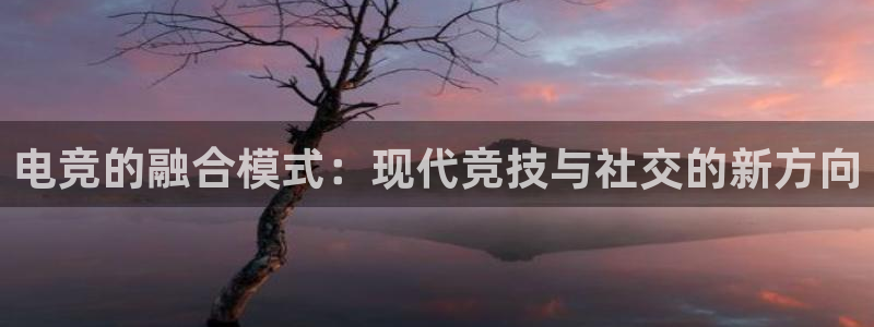 乐鱼电竞app下载：电竞的融合模式：现代竞技与社交的新方向