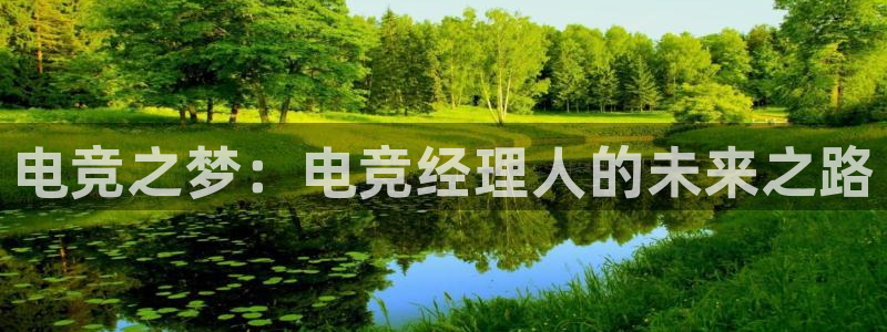 乐鱼电竞app