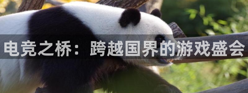 乐鱼电竞平台